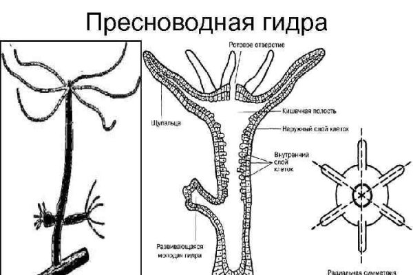 Официальный сайт кракен kraken