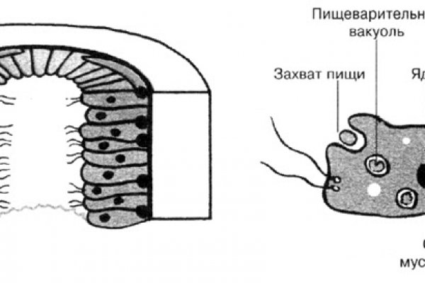 Кракен рабочая ссылка на официальный магазин